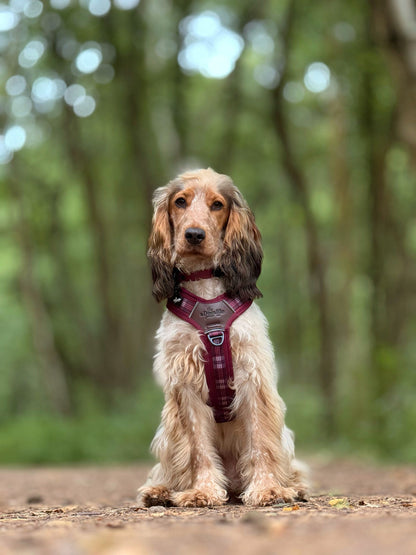 Streamline Pro™ Dog Harness - Heritage Collection - Merlot Manor
