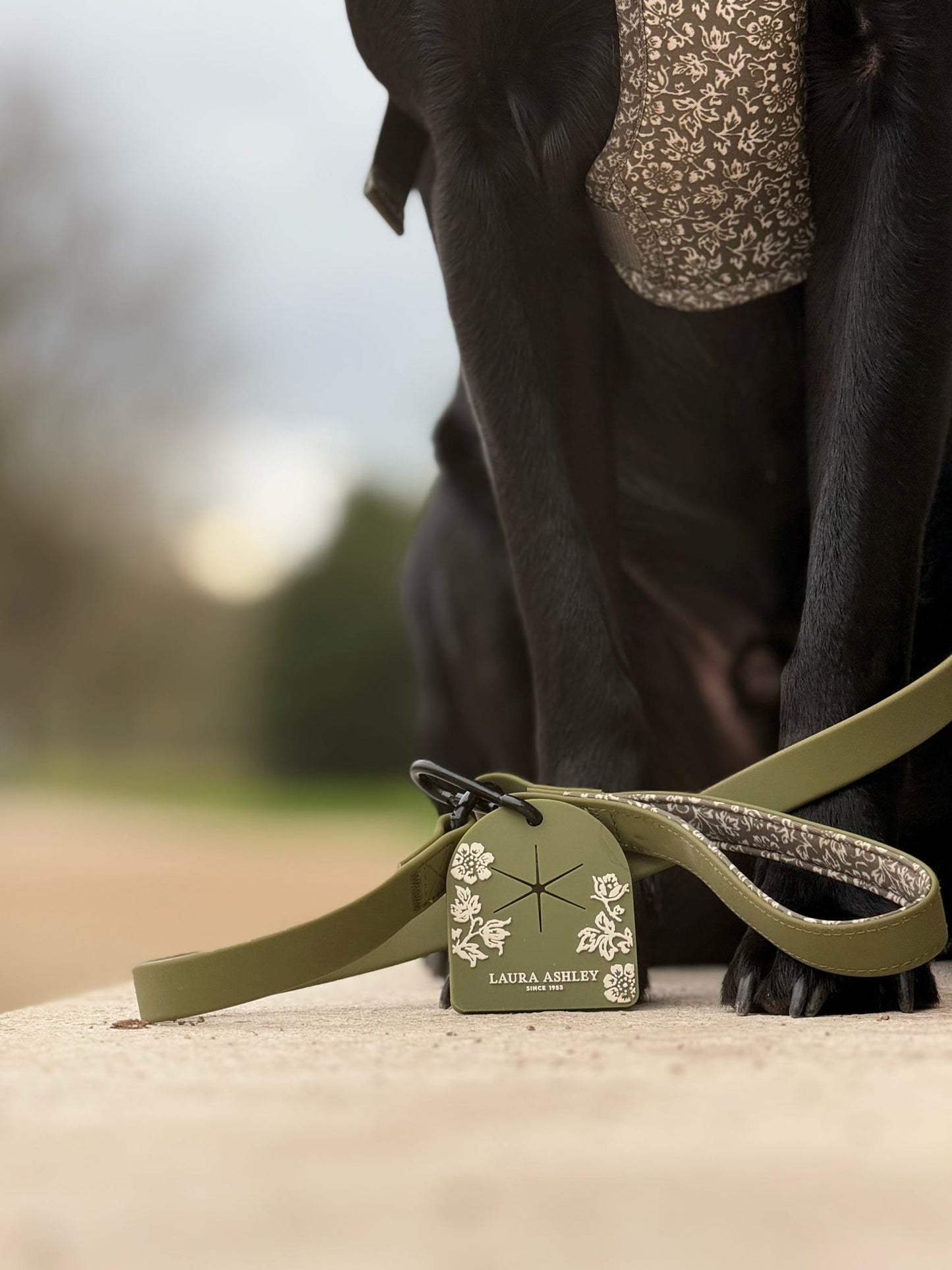 Laura Ashley Dog Waste Bag Carrier - Sweet Alyssum