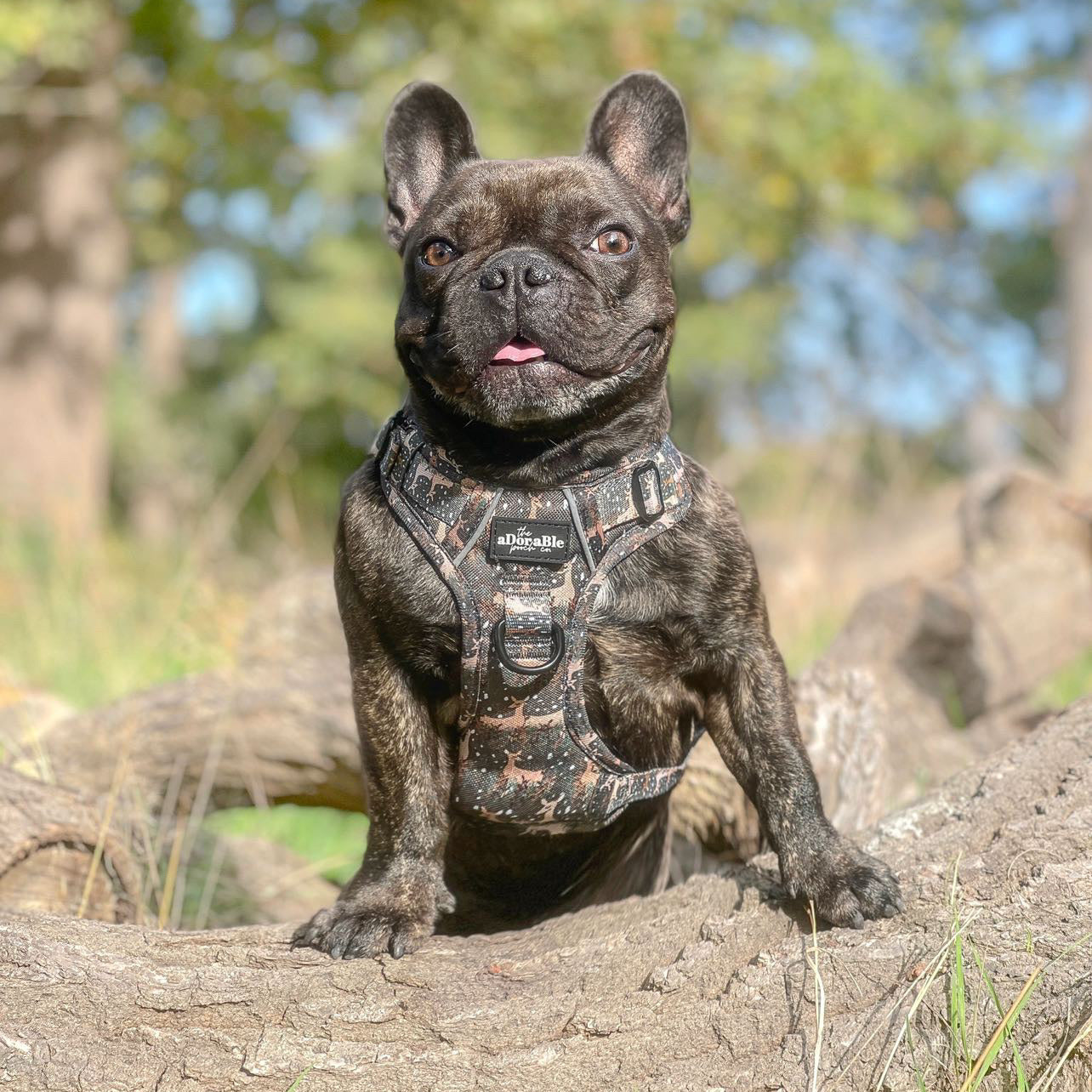 Hike & Go™ Harness - Nature Trails