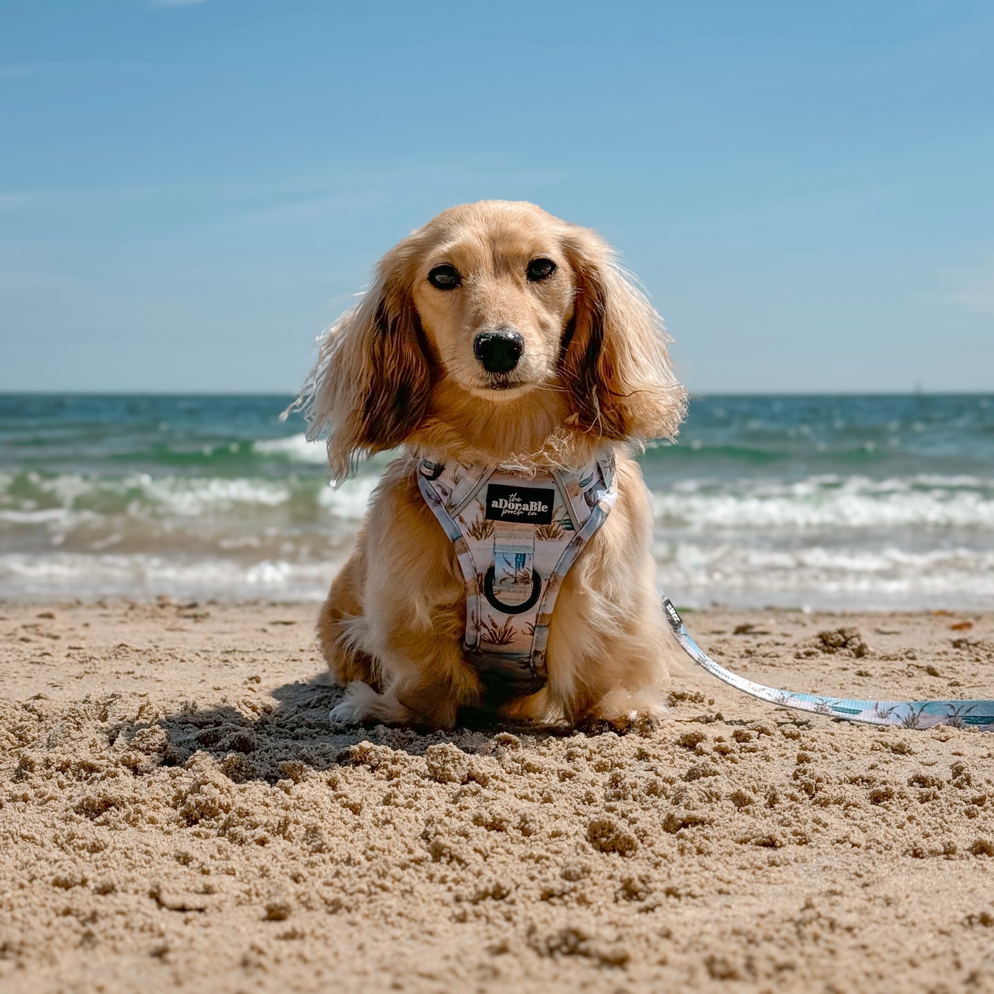 Hike & Go Lite™ Harness - Coastal Beach Grass