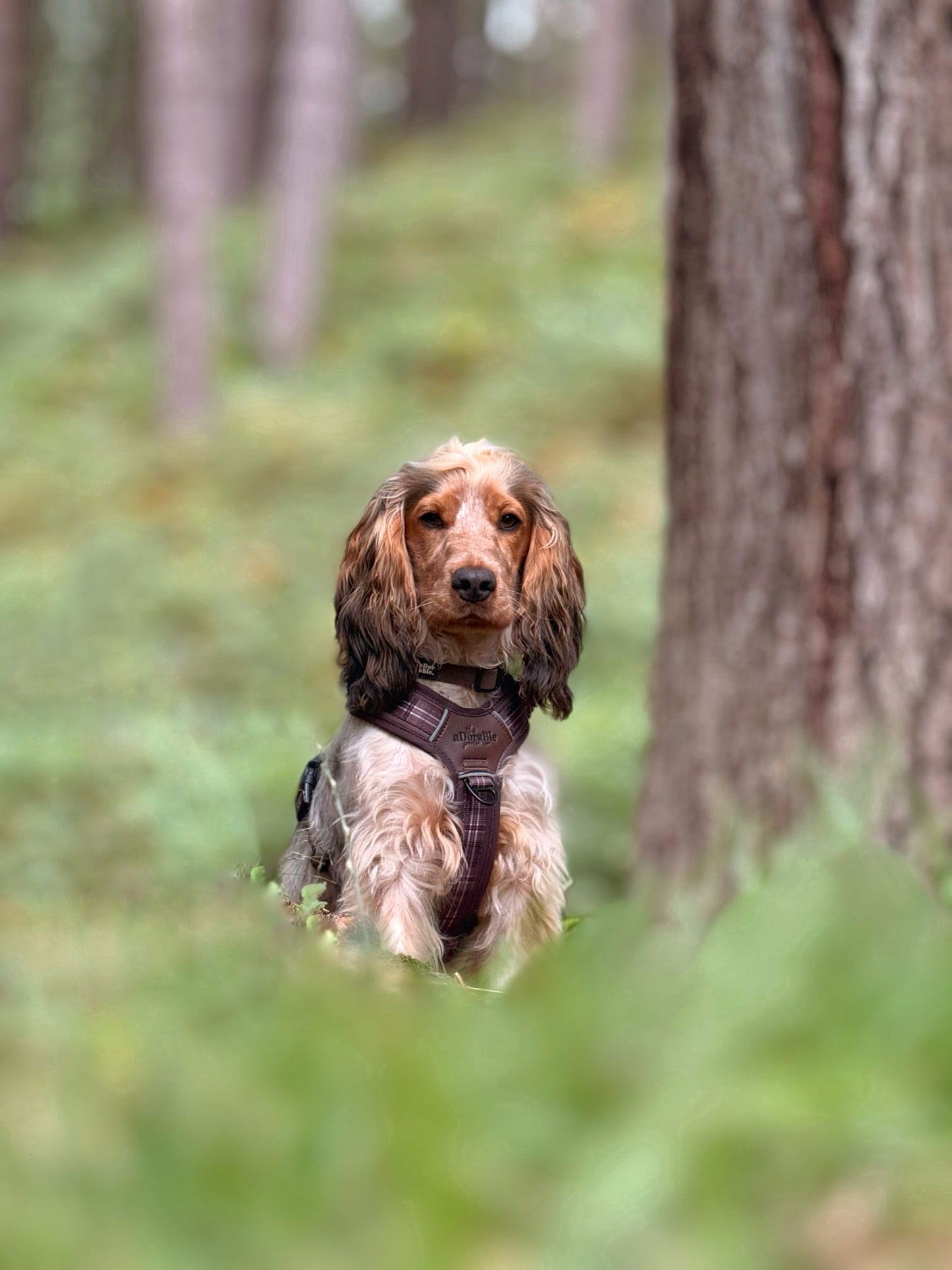 Streamline Pro™ Dog Harness - Heritage Collection - Truffle Brown