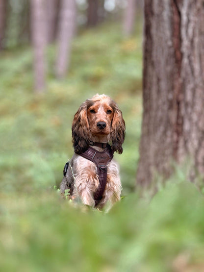 Streamline Pro™ Dog Harness - Heritage Collection - Truffle Brown