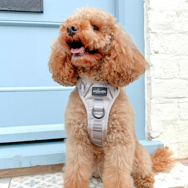 Hike & Go™ Harness - Coconut Cream