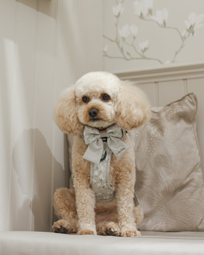 Laura Ashley Dog Harness - Magnolia Grove