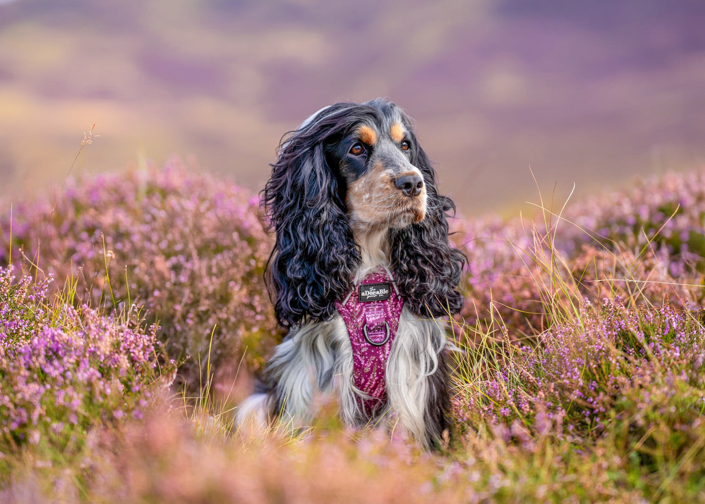 Hike & Go™ Harness - Highland Heather