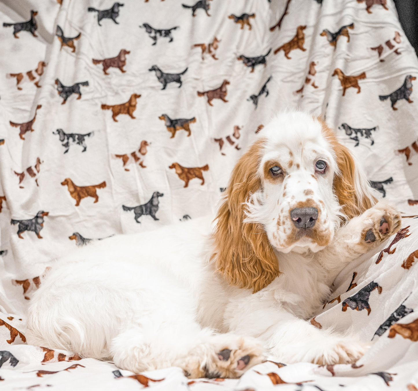 Supersize Soft Blanket - Watercolour Cocker Spaniels