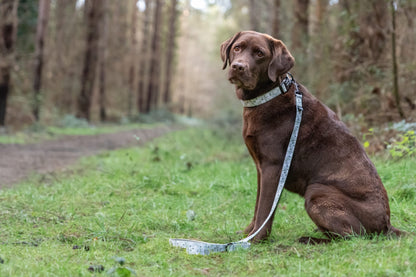 Dog Collar - Silent Snowdrops
