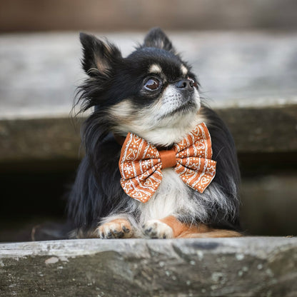 Sailor Bow Tie - Gingerbread Frosting