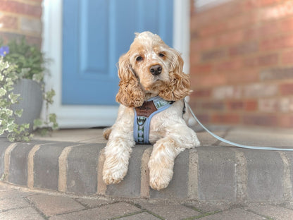 Streamline Pro™ Dog Harness - Daydream Heights