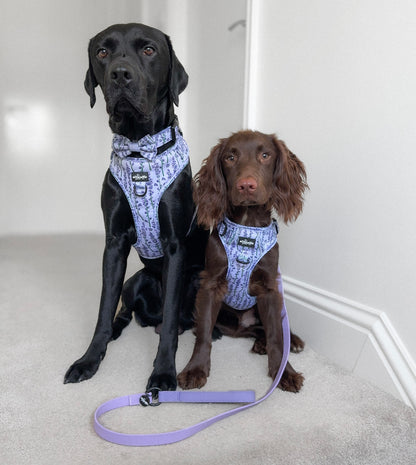 HydroFlex™ Two-tone Waterproof Dog Lead - Lavender