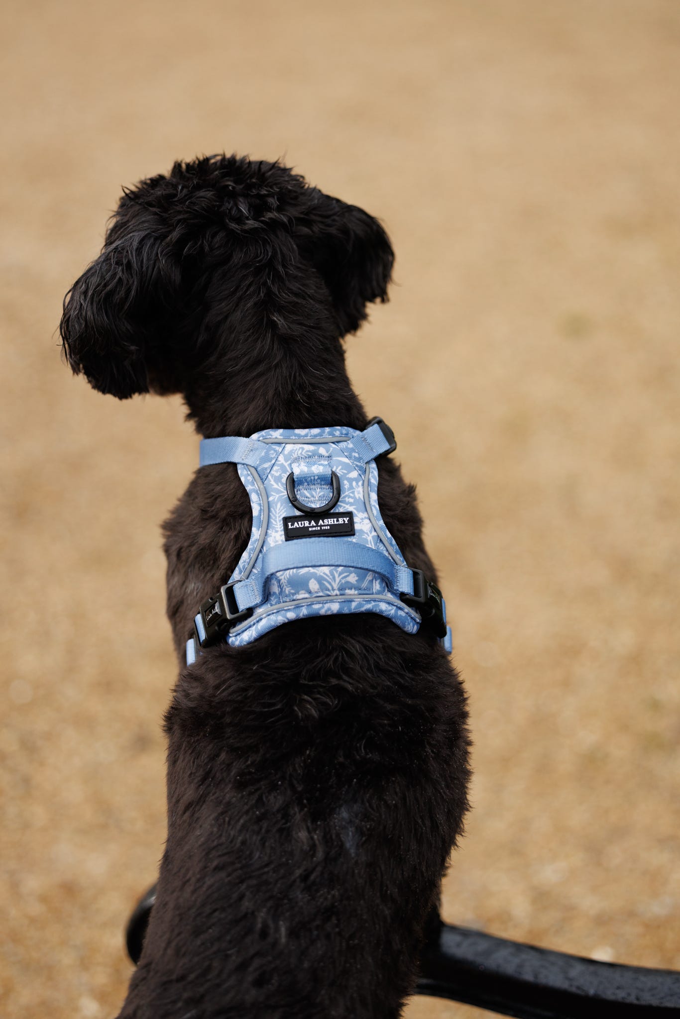Laura Ashley Dog Harness - Shepherd's Purse