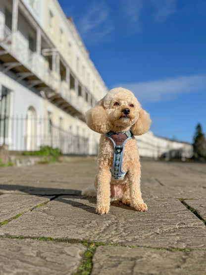 Streamline Pro™ Dog Harness - Daydream Heights