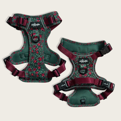 Hike & Go Lite™ Harness - Holly & Ivy