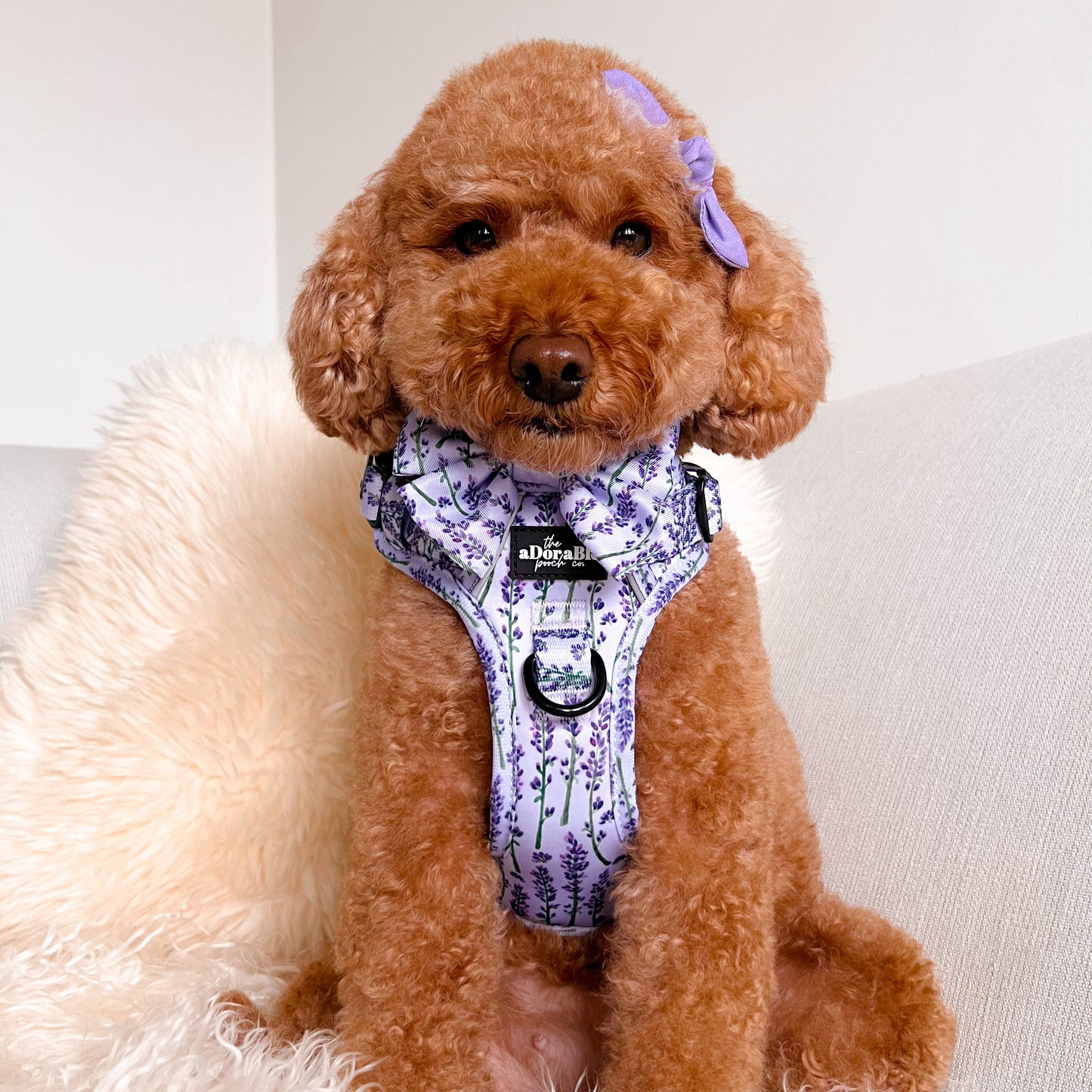 Hike & Go Lite™ Harness - Lavender Haze