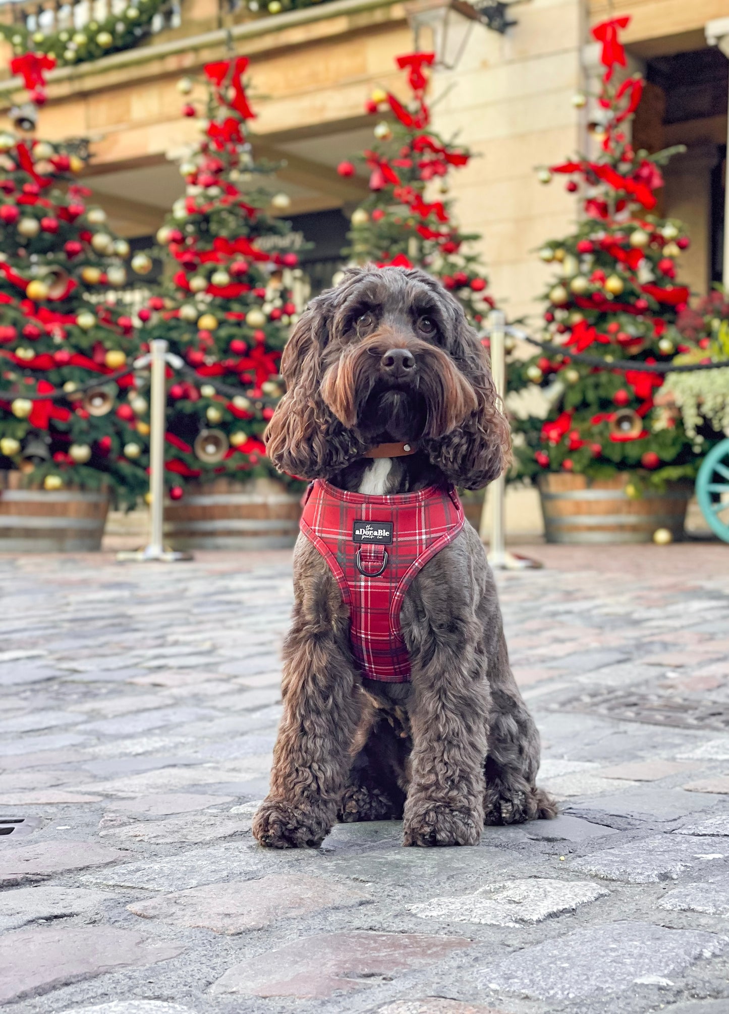 Adjustable Harness - LUXE Berry Red Plaid