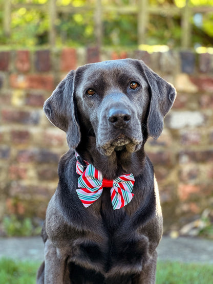 Sailor Bow Tie - Candy Cane Swirl