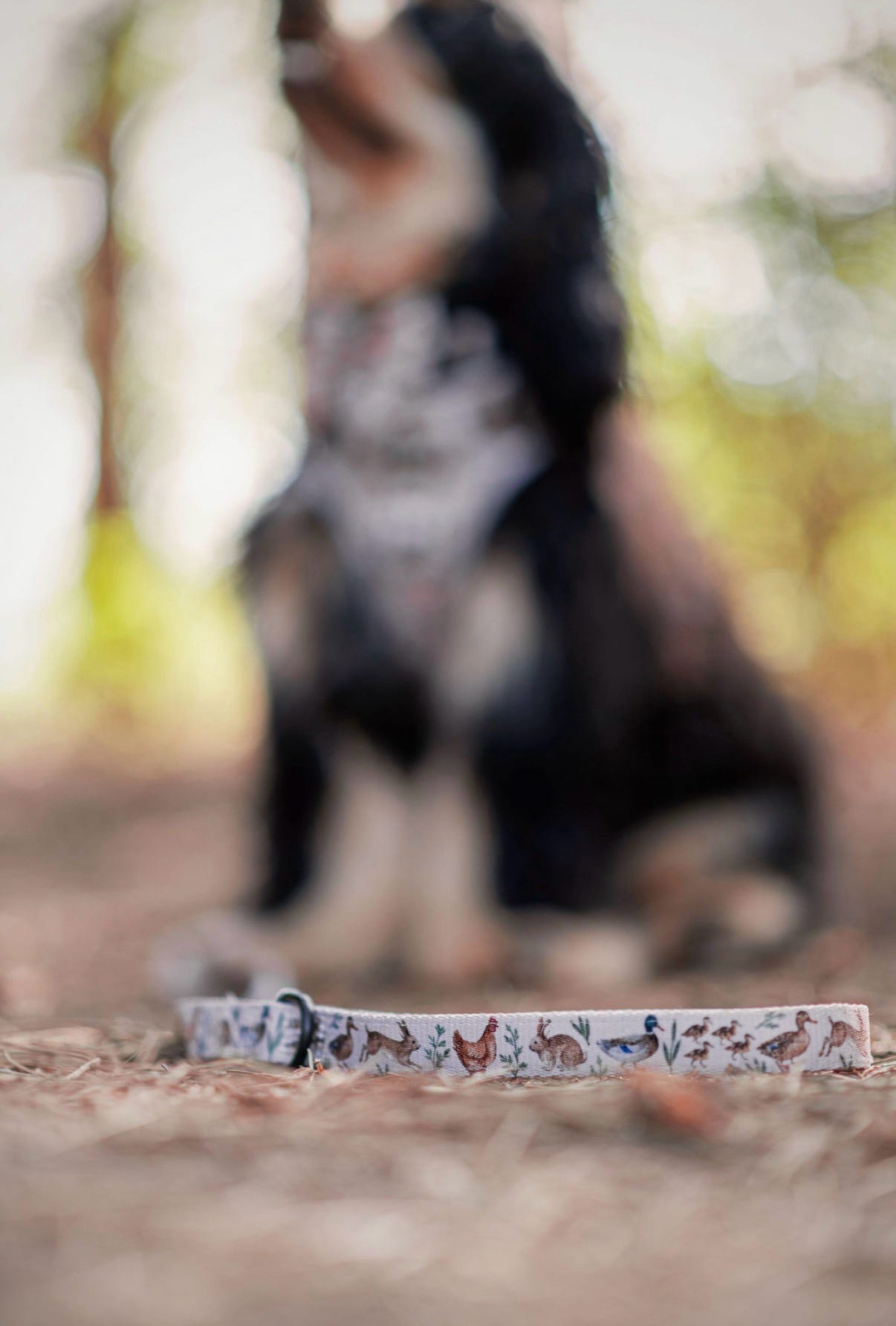 Fabric Dog Lead - Cotswold Cottage