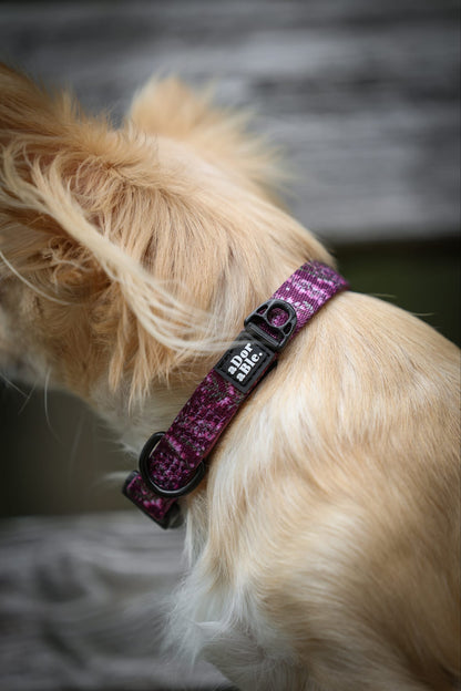 Collar - Highland Heather