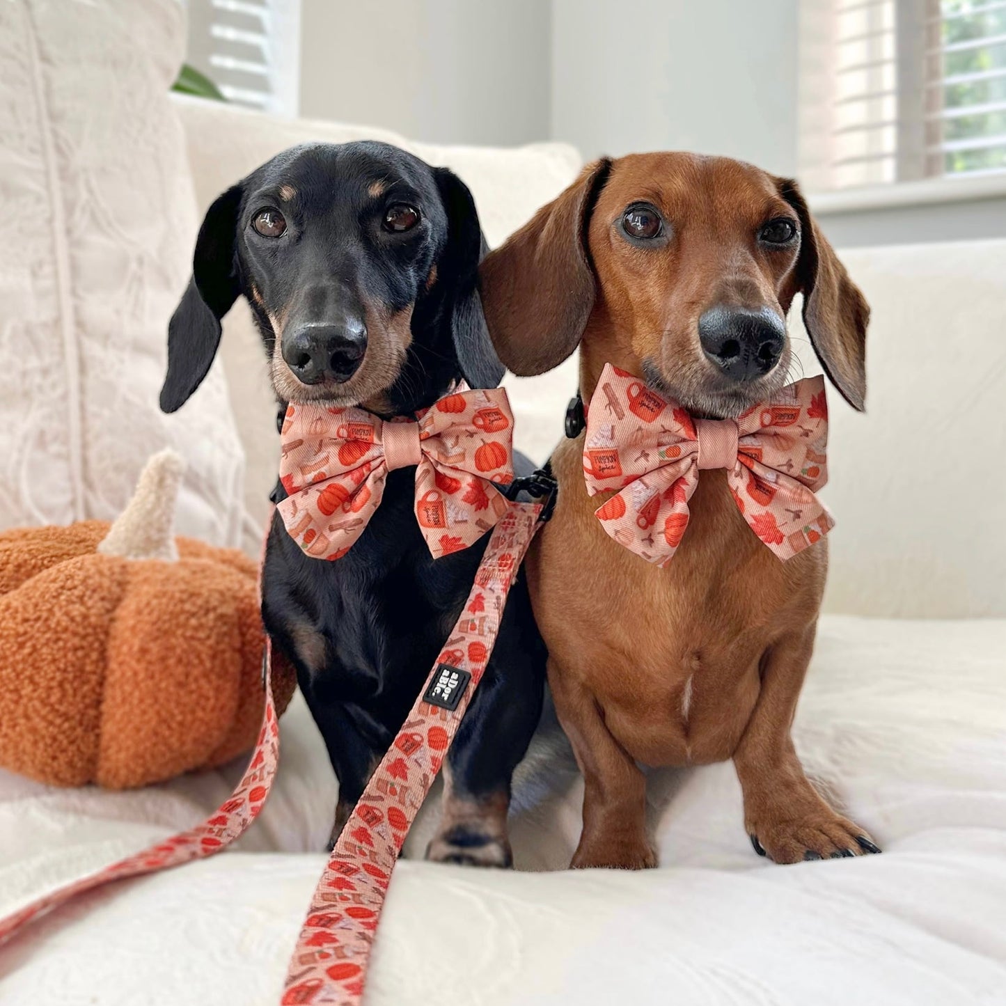 Sailor Bow Tie - Pumpkin Harvest