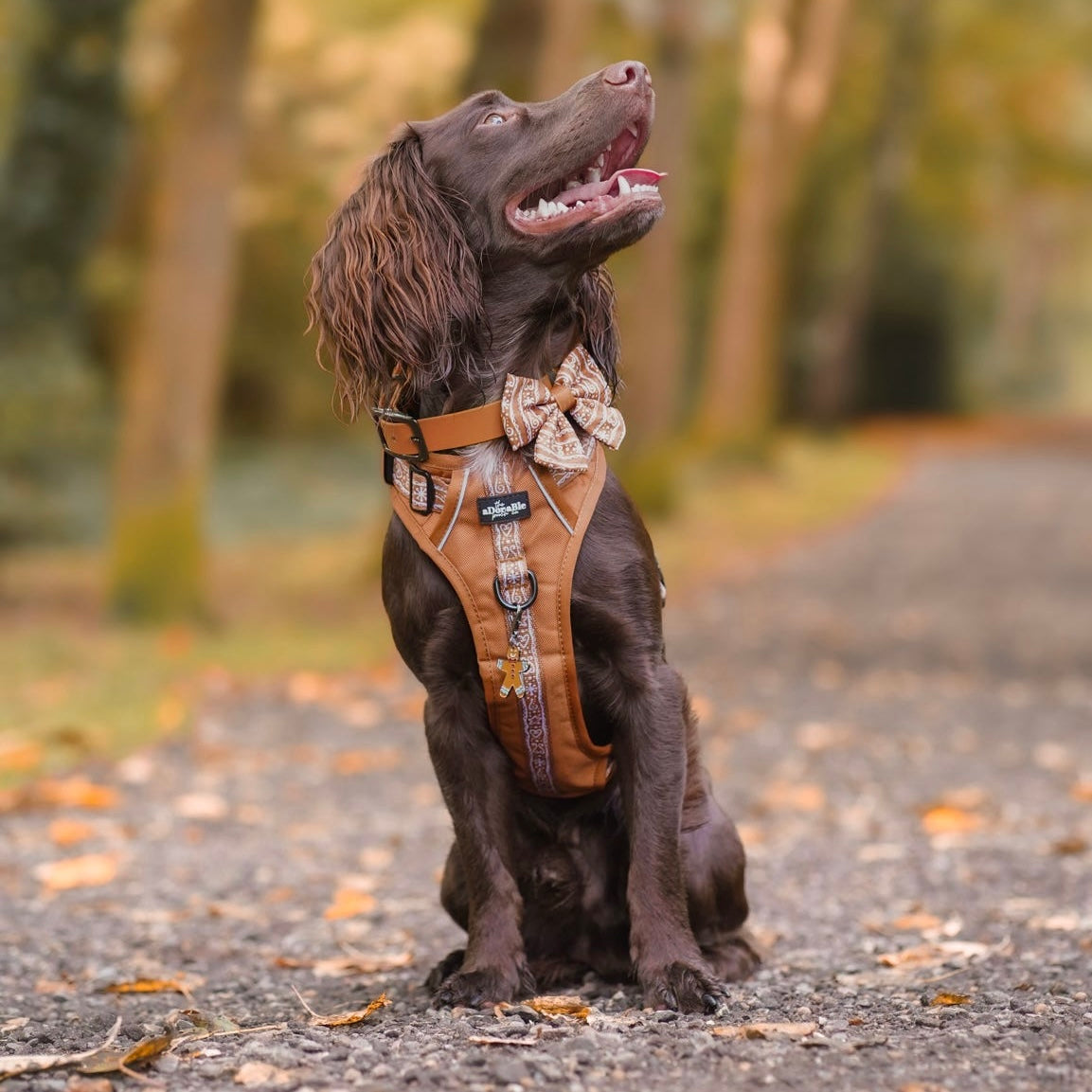 Hike & Go™ Harness - Gingerbread Frosting