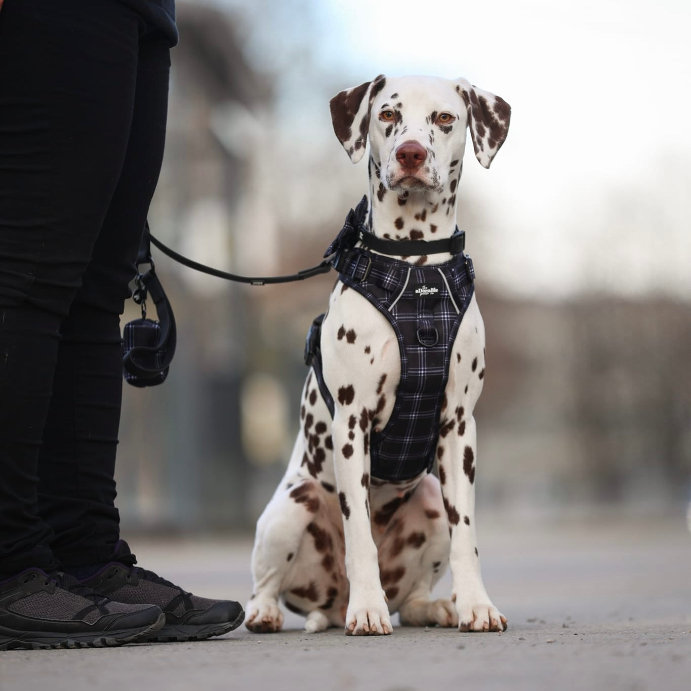 Hike & Go™ Harness - LUXE Noir Plaid