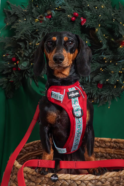 Hike & Go™ Harness - Garlands Of Evergreen