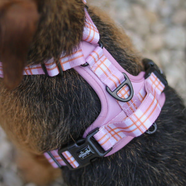 Streamline Pro™ Harness - Heritage Collection - Strawberry Cottage