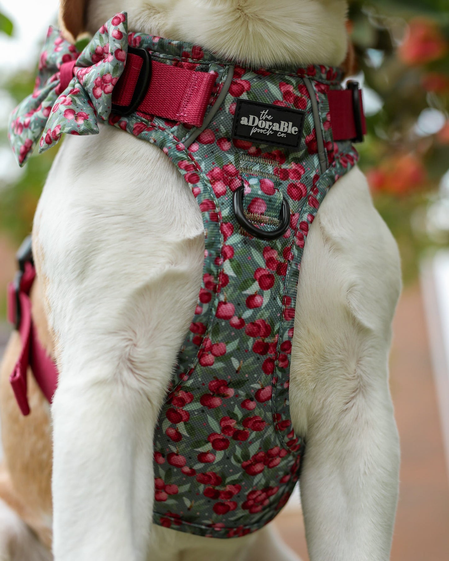 Hike & Go™ Harness - Crab Apple Cottage
