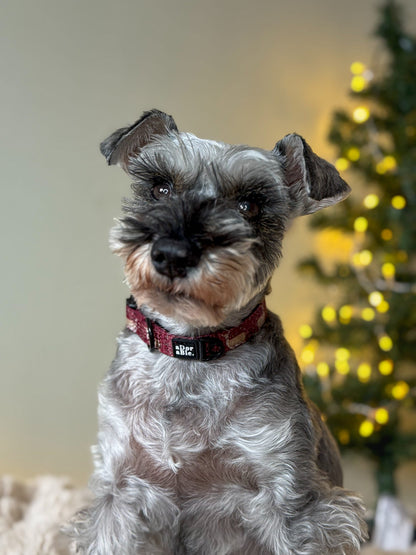 Collar - Winter Fawn