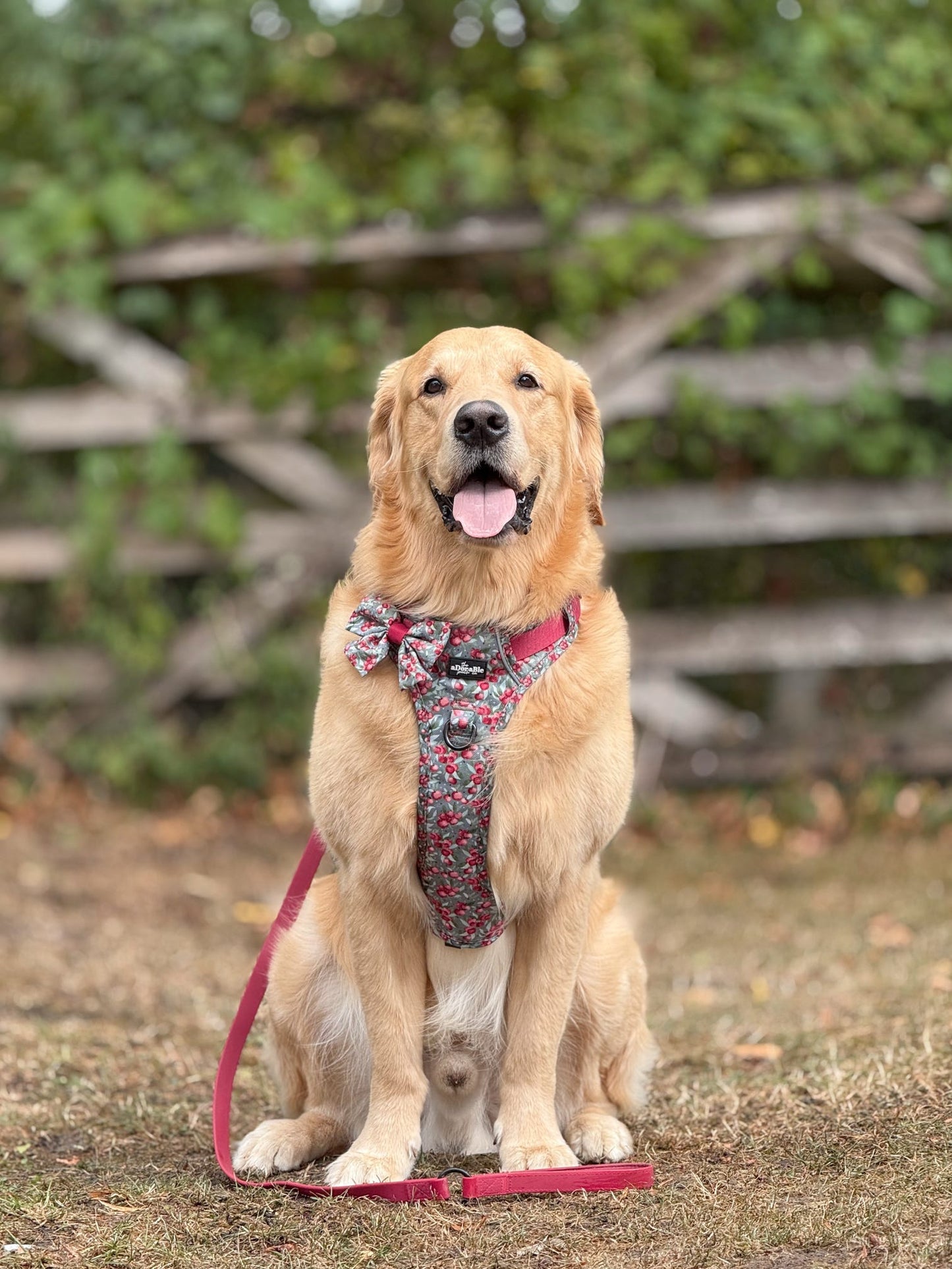 Hike & Go™ Harness - Crab Apple Cottage