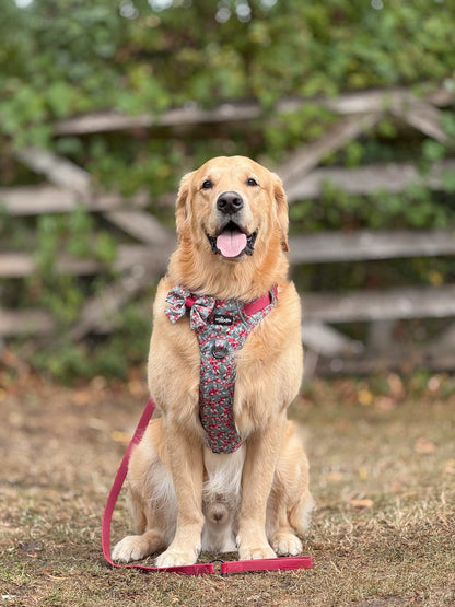 Hike & Go™ Harness - Crab Apple Cottage