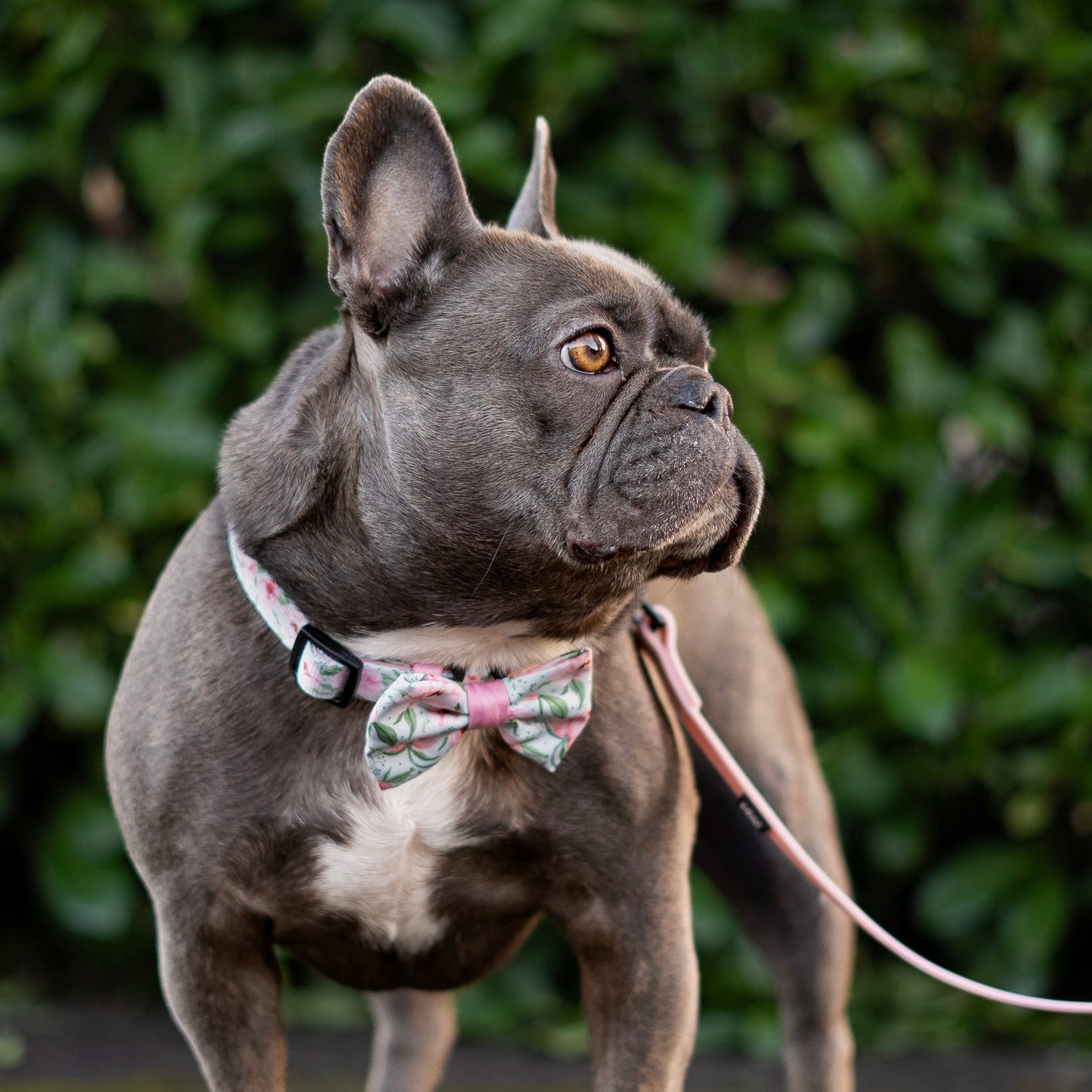 Bow Tie - Peony Petals