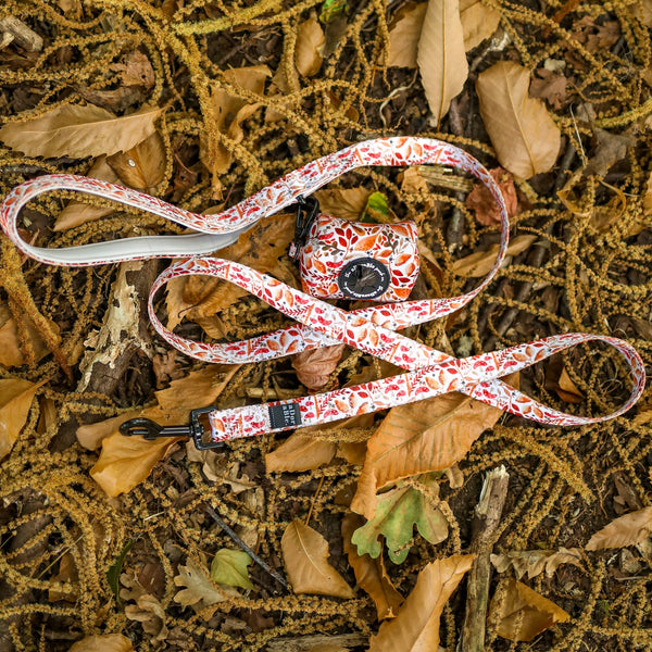 Poop Bag Holder - Whispers Of Fall