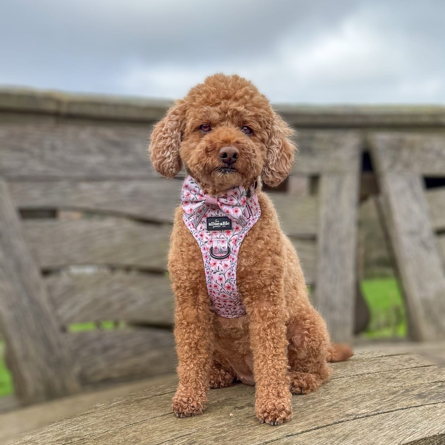 Dog Dickie Bow Tie - Blushing Blossoms