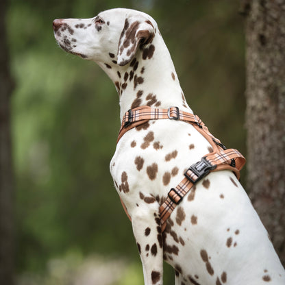 Streamline Pro™ Dog Harness - Heritage Collection - Butterscotch Biscuit