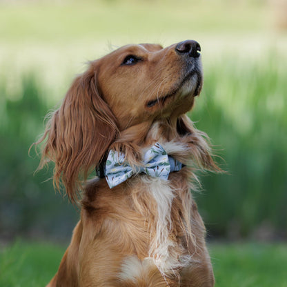 Dog Dickie Bow Tie - Willow Waters