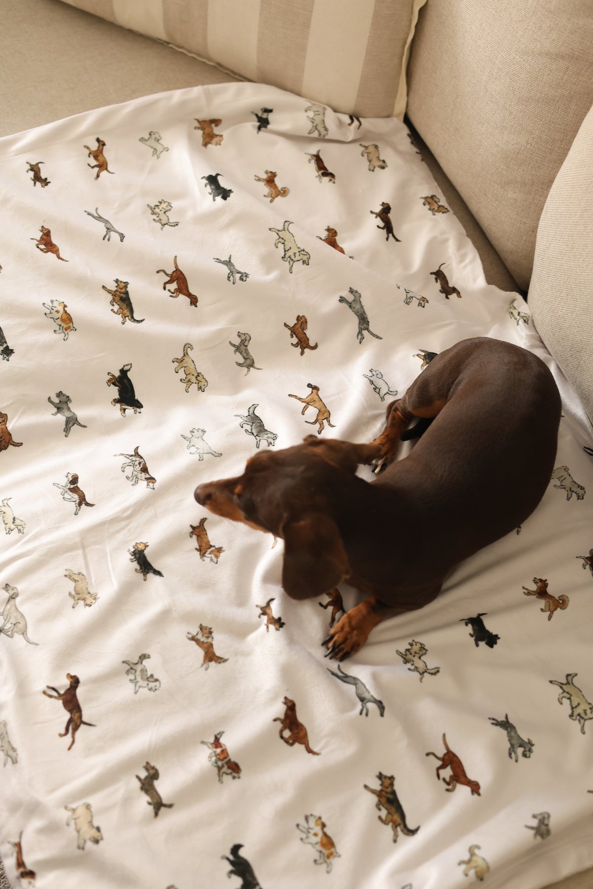 Ultra-Soft Lightweight Dog Breed Blanket