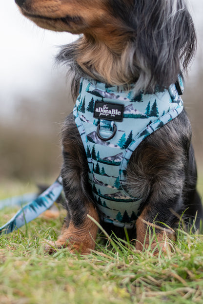Adjustable Harness - Highland Mountains