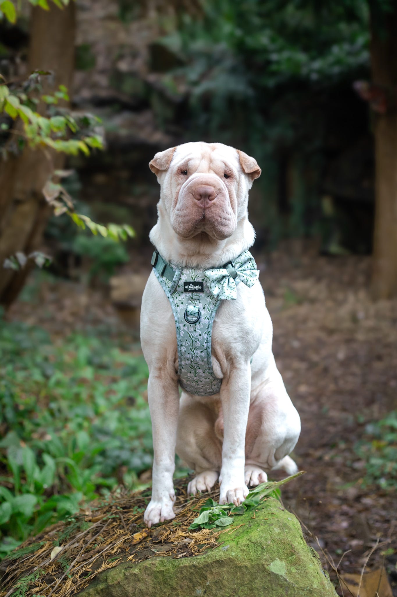 Hike & Go Lite™ Harness - Silent Snowdrops