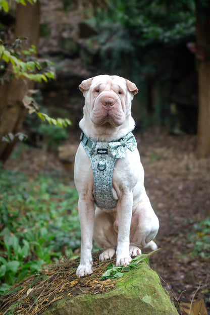 Hike & Go Lite™ Harness - Silent Snowdrops