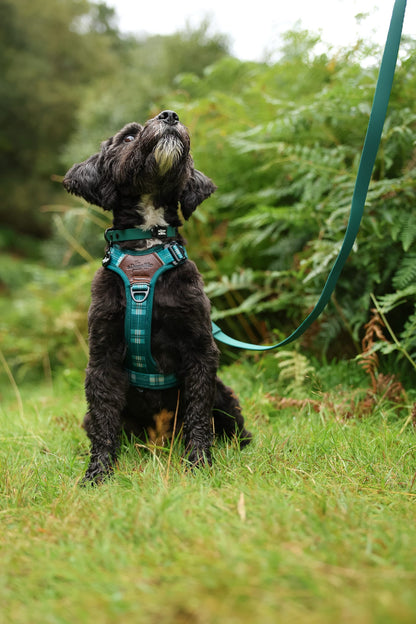 HydroFlex™ Waterproof Dog Lead - Pheasant Green