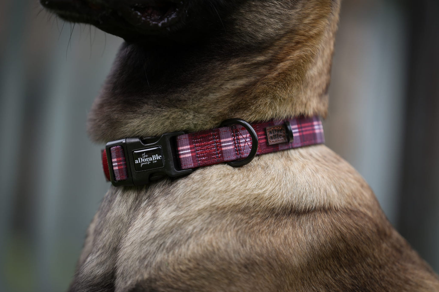 Heritage Collar - Merlot Manor