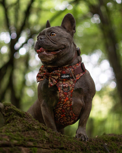 Hike & Go™ Harness - Foragers Forest