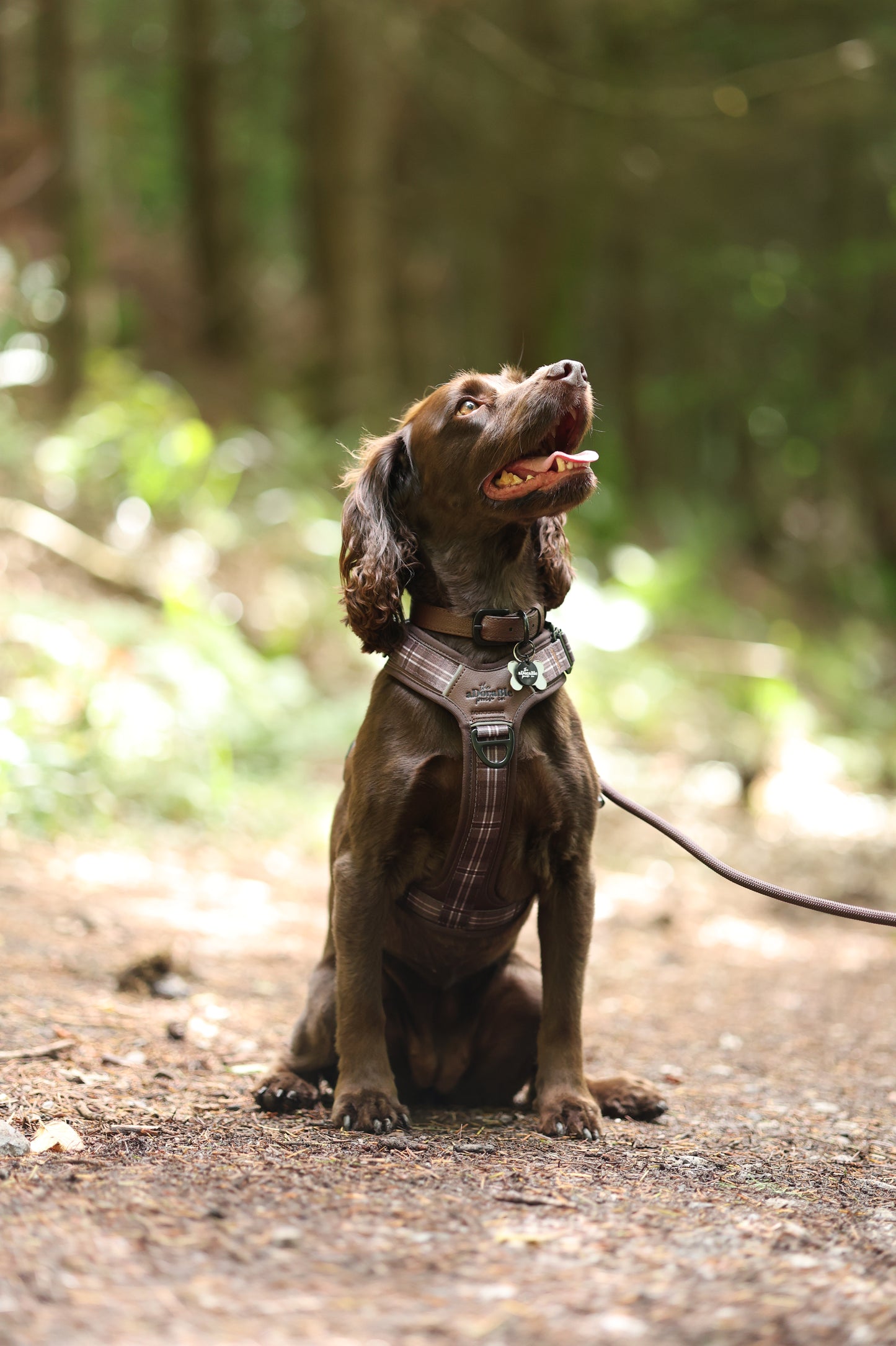 Heritage Faux Leather Dog Collar - Brown