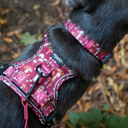 Collar - Mulberry Mushrooms