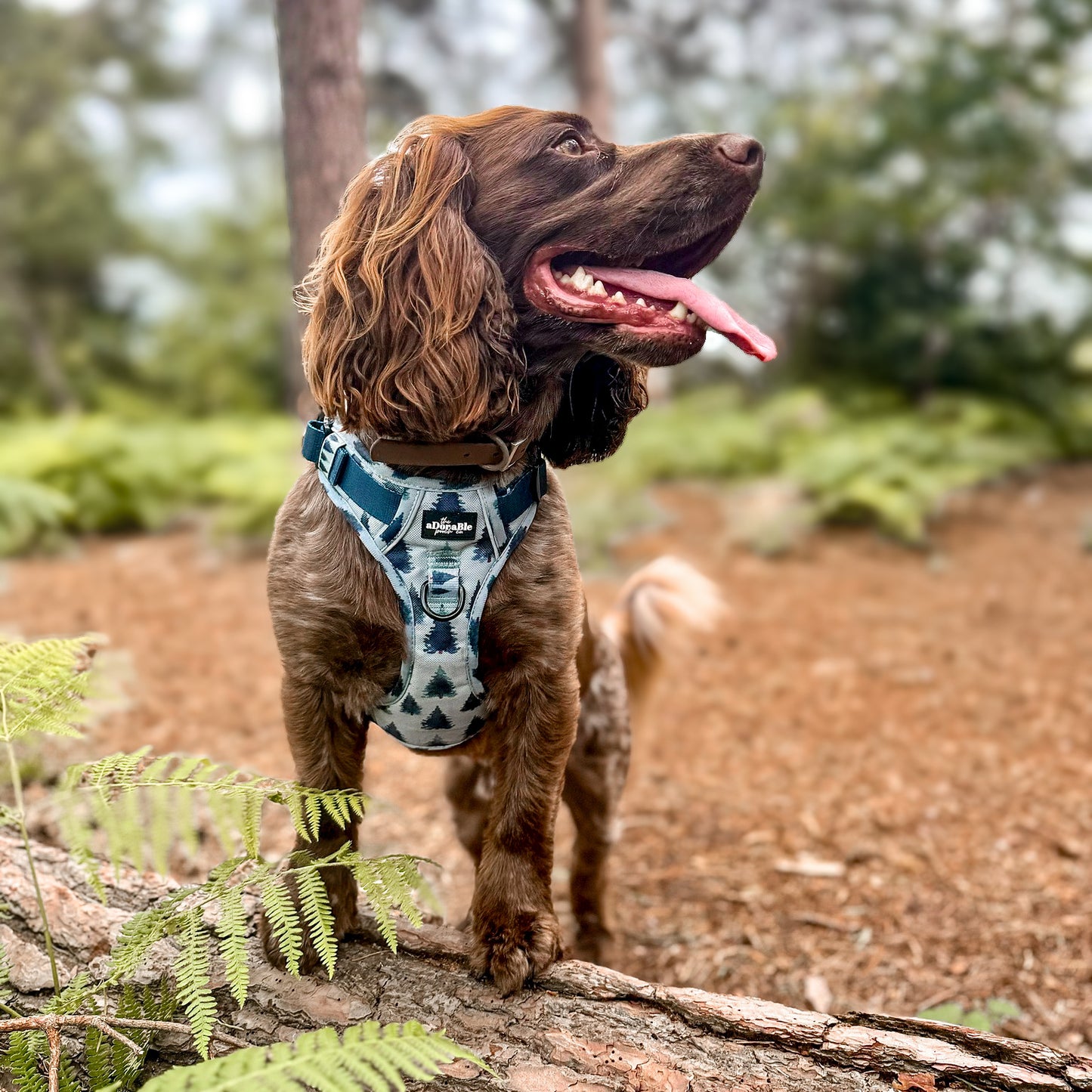 Hike & Go™ Harness - Fresh Pines