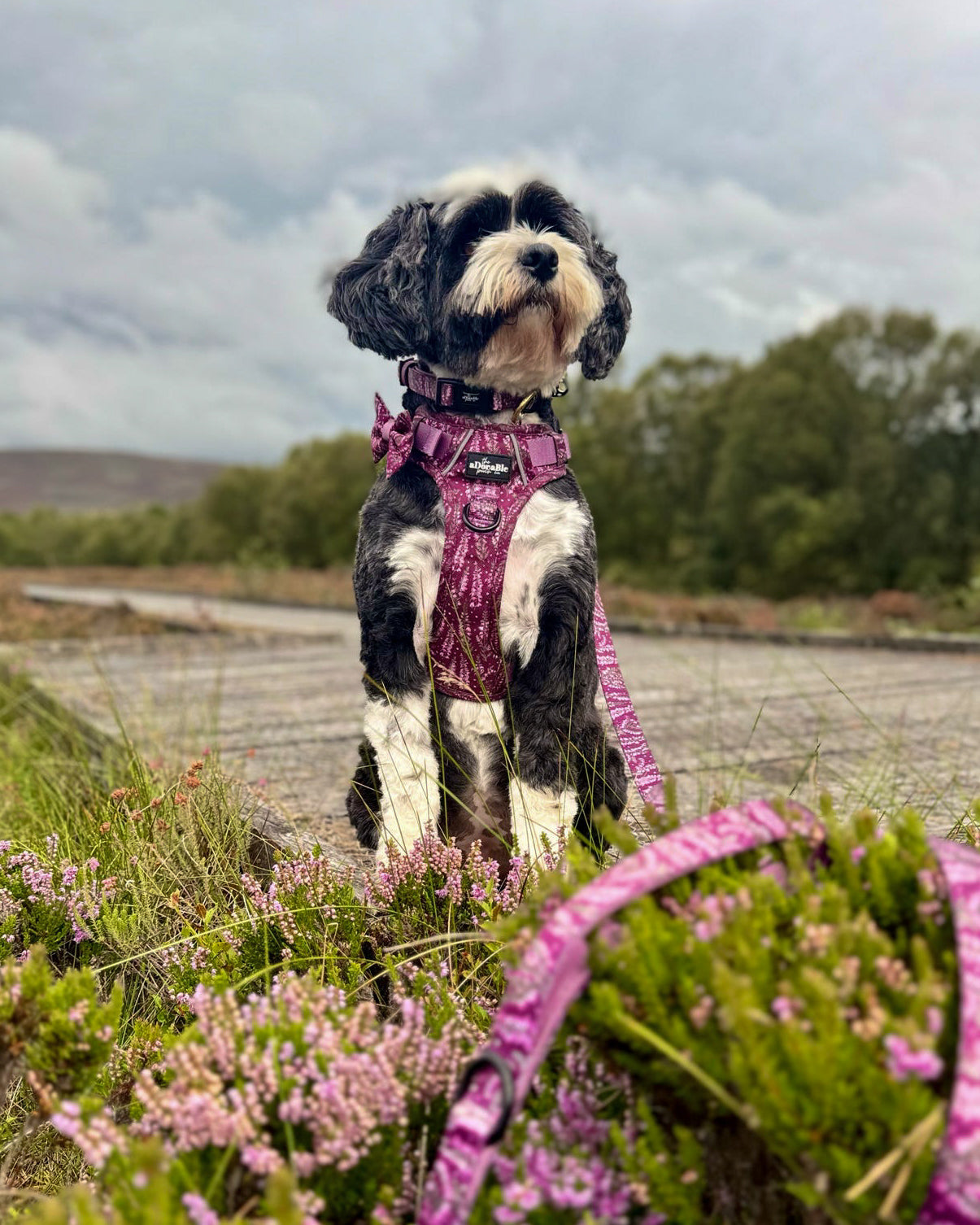 Hike & Go™ Harness - Highland Heather