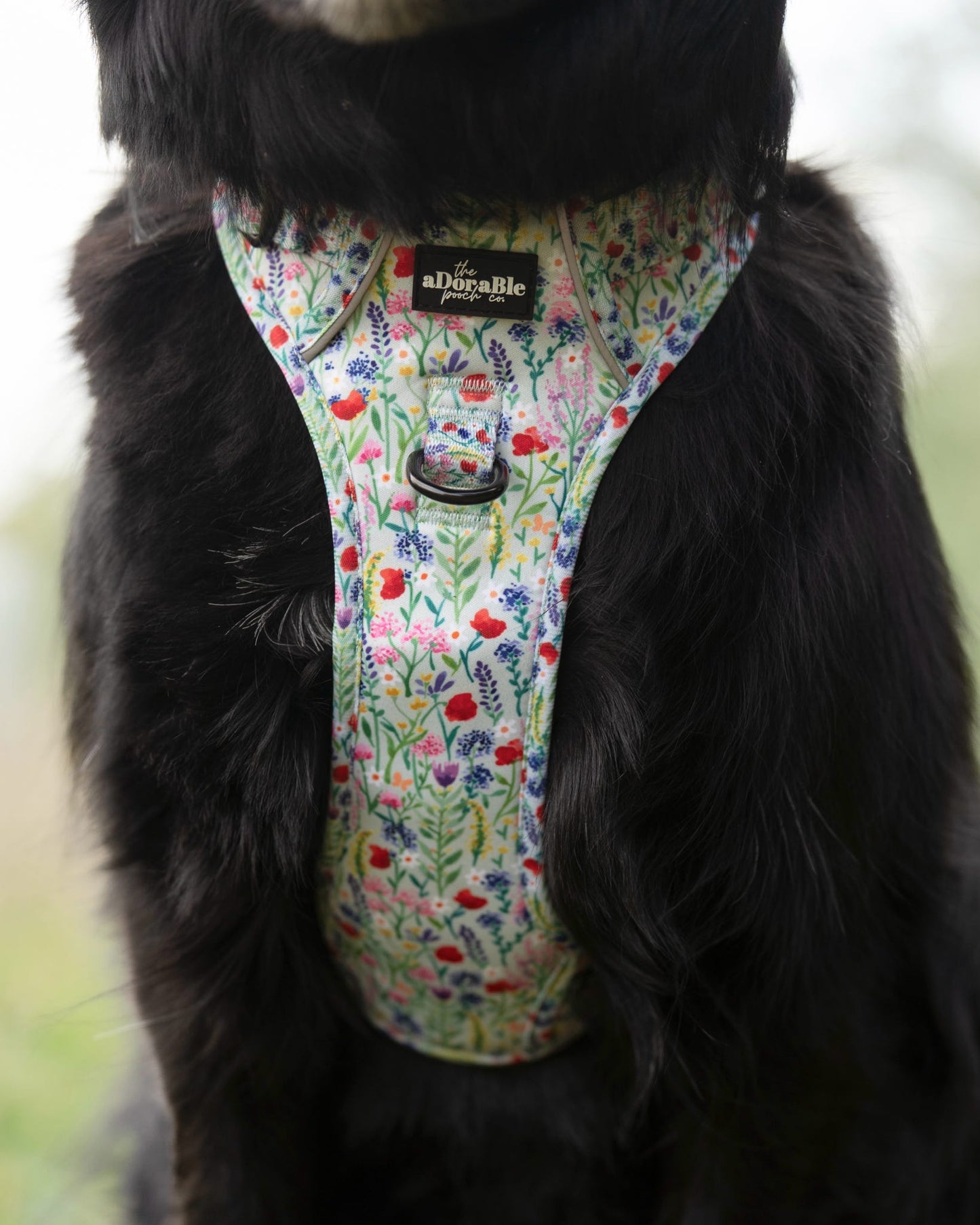 Hike & Go Lite™ Harness - Wildflower Meadow