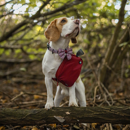 Slimline Everyday Bumbag - Dark Cherry Red