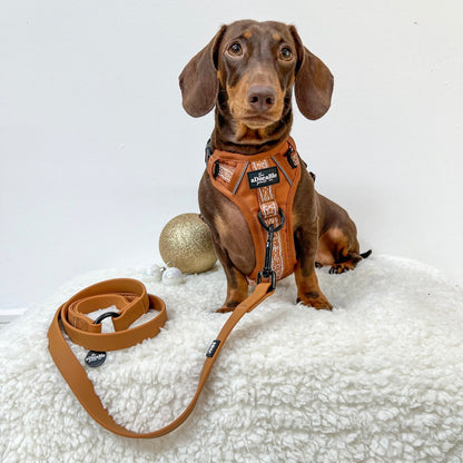 Hike & Go™ Harness - Gingerbread Frosting